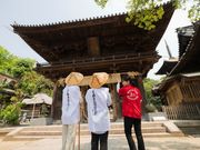 松山はいくの写真3