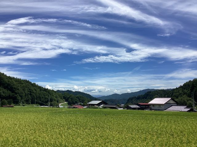 建物からは、田園風景と乗鞍岳が見えます。今日8月24日は雲で頂上が隠れていますが、すっきり見えるととてもきれいです!季節ごとの風景の変化も楽しみのひとつです。_noconocoya