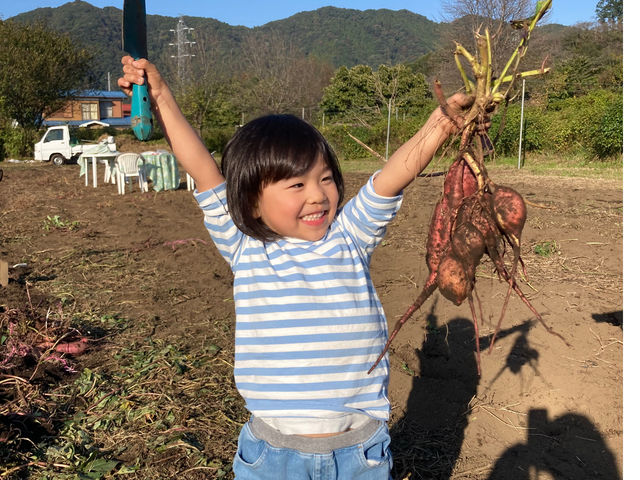 サツマイモ
掘ったドー_さわ農園