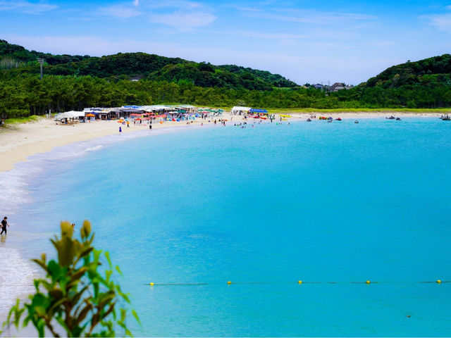 海の家 海坊主