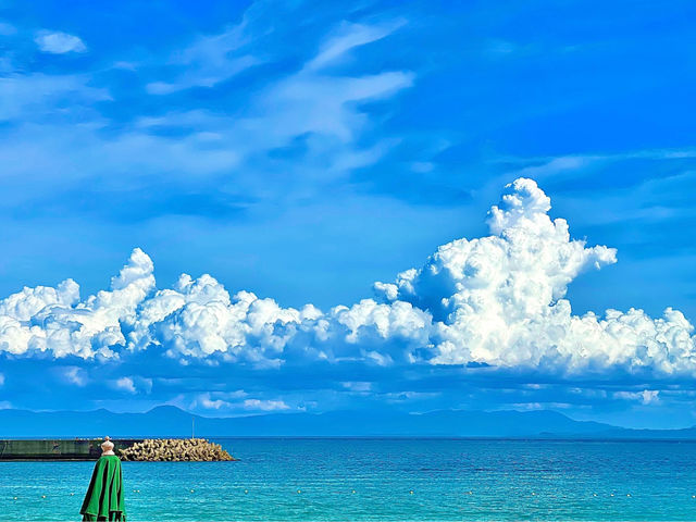 海の家 海坊主