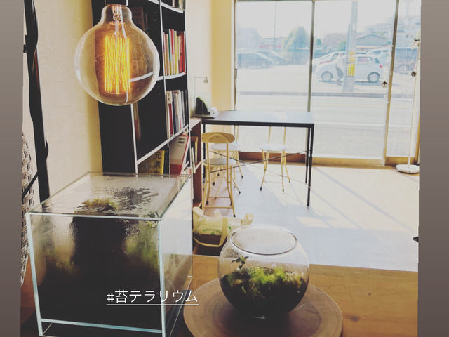 オリエンタルライフアカデミー
