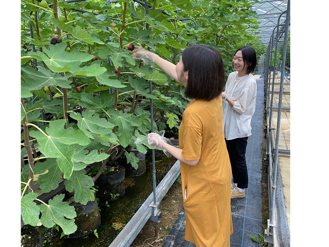 観音堂農園センター