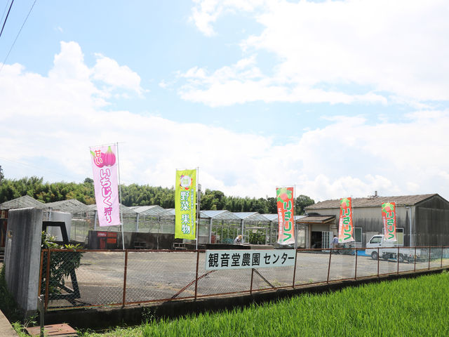 広大な田畑が広がる場所に、いちじくの旗を立てた施設が見えてきます。_観音堂農園センター