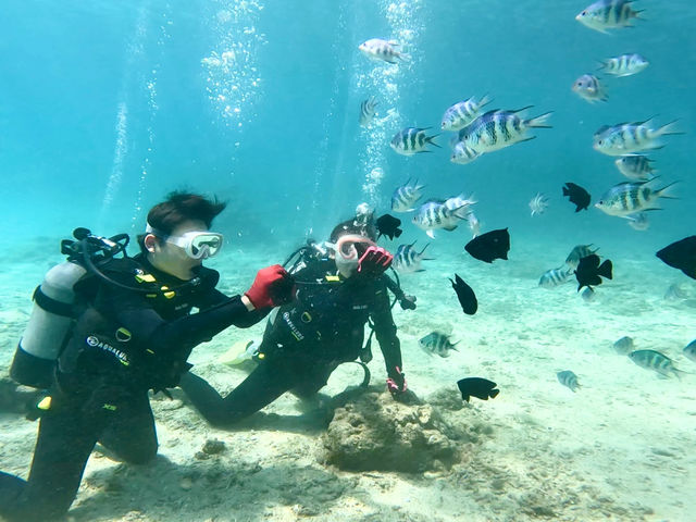 餌やり体験_カノアダイブ Kanoa Dive