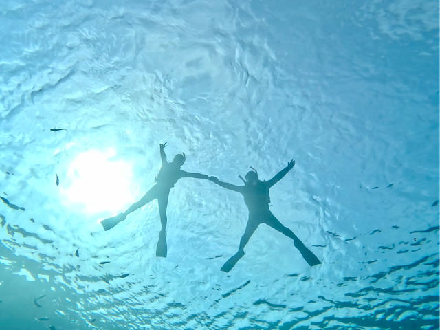 カノアダイブ Kanoa Dive