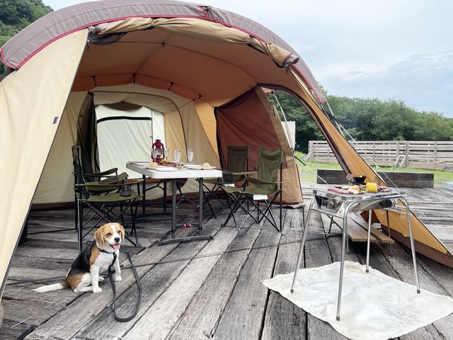 レンタルテントつきのコースのイメージです。_グリズリーBBQ&CAMP