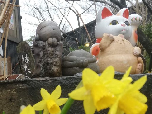 ギャラリーほたる子