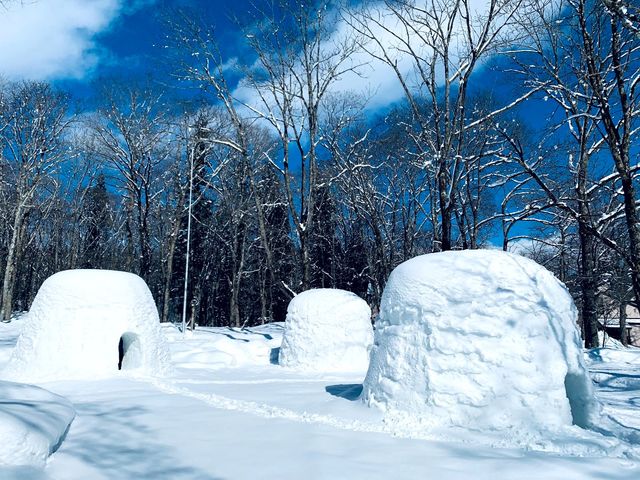 ひろばにかまくら登場!_ラボランドくろひめ