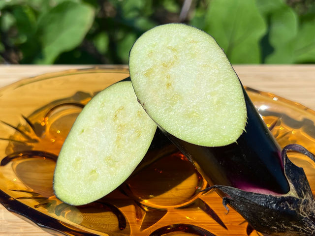 夏のおすすめ野菜 生食がおすすめ!「びだん水ナス」_須田農園
