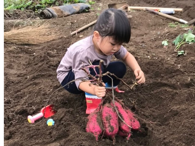 大澤農園