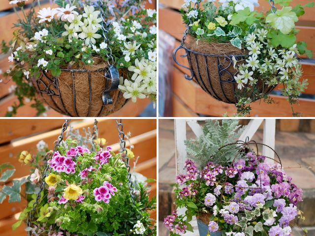 ワンランク上!季節の寄せ植えレッスン_CUCU FLEUR