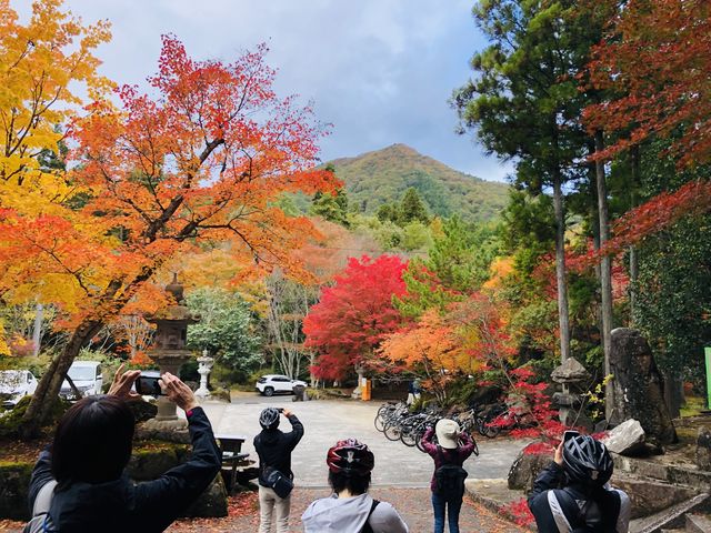 秋はサイクリングの季節。紅葉スポットもたくさんあります。_OASA MOBiLITY STATION ≪O.M.S