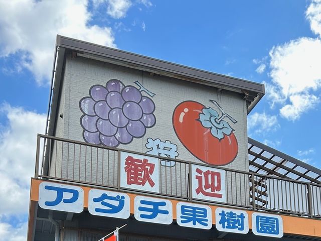 遠くからでも目立つ看板です_アダチ果樹園