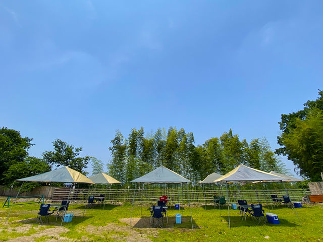 おやまスカイBBQ