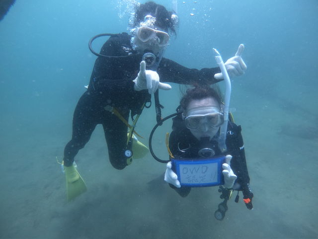 New Diver_Dive-Yuzzu