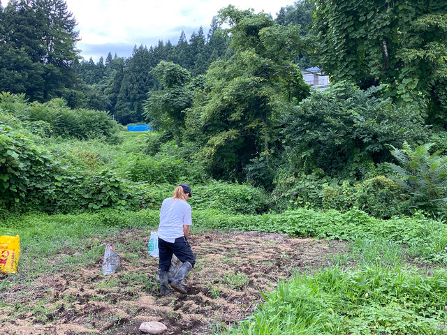 鶏小屋を掃除すると鶏糞の堆肥を得られます。それを畑に戻します。餌は当農園で採れたくず米などで、それが餌になり、糞になり、田畑に戻ります。循環を感じられます。_やよい農園
