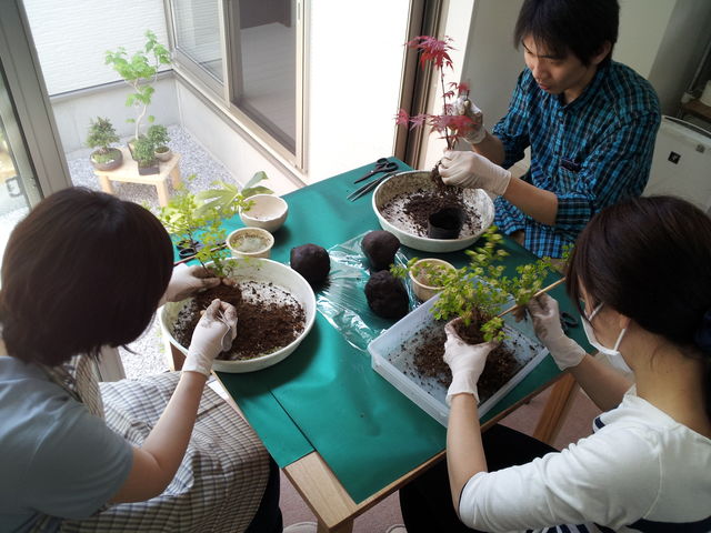 みどり屋 和草