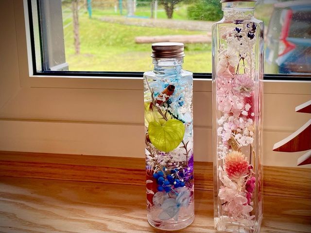 jill's garden