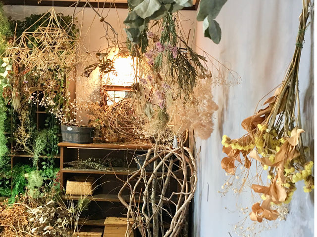 studio kupukupuplus