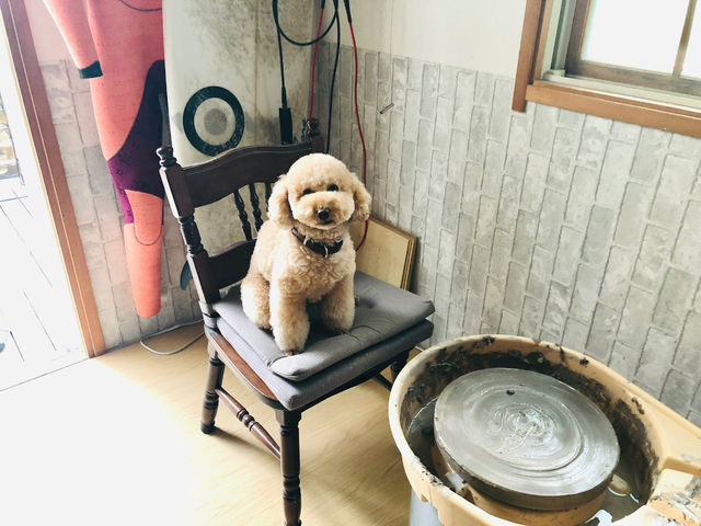 Ceramic Studio MaMo