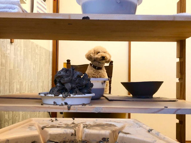 Ceramic Studio MaMo