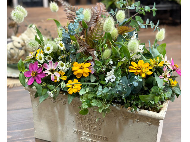 根付の植物を花束のように組み合わせて、植え込む、ブリクコラージュ寄せ植えをしています。根付きである為、長い期間楽しむ事ができます。_Biflam(ビフラム)