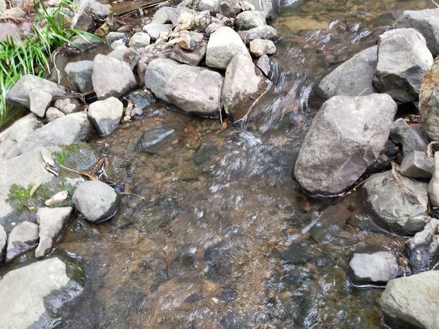 キャンプ場をホタルの暮らす清流です。小魚や沢蟹が住んでいます。_かぬまピッコロキャンプ場
