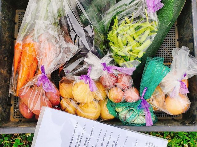 年間を通して出荷している野菜セット。あくまでもリアルな生産現場でのイベントのため、畑のルールもしっかりと守ってもらいます。_自然菜園あかね空