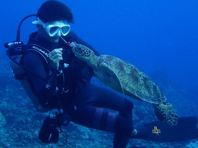 色んな生き物との出会い_N2 ダイビングサービス