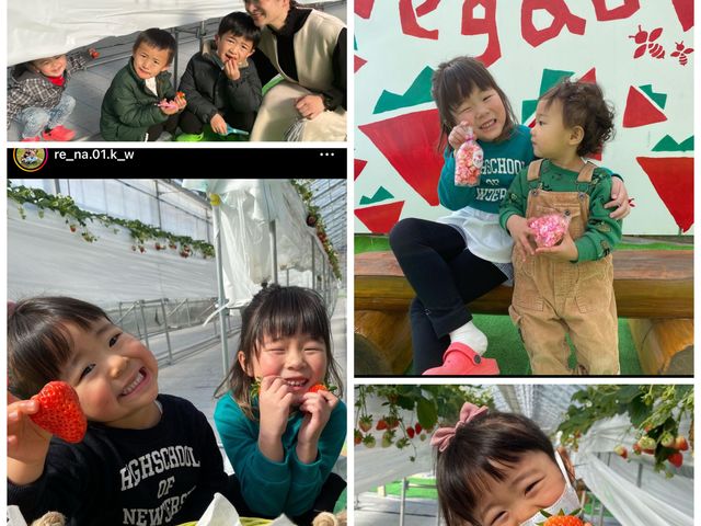 イチゴ農園egao