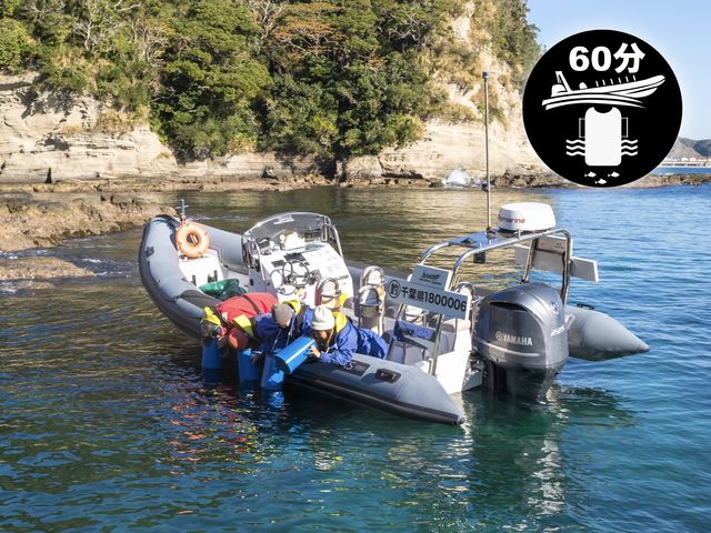 海中覗き体験 乗船時間約60分_Seafari Japan