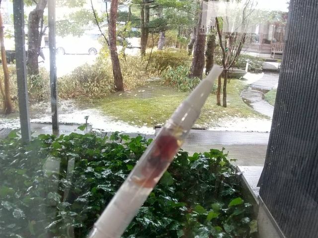 窓から見える緑に癒されます_aroma ku*ku