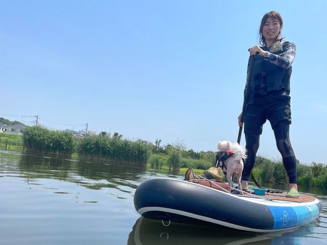 広大な手賀沼で日常では味わえない自然をSUPで満喫してみませんか♪_わんわんアクティビティ手賀沼
