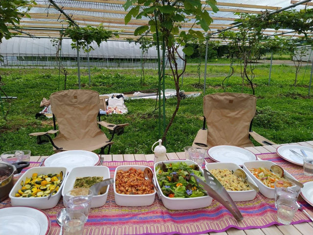 自然豊かなピクニックスタイルで、当園の野菜を中心にオーガニック野菜ビュッフェをご用意!、_倉リ農園