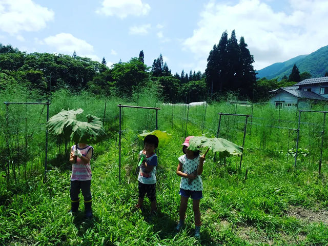 自然なままの畑で、安心して遊ぼう!_倉リ農園