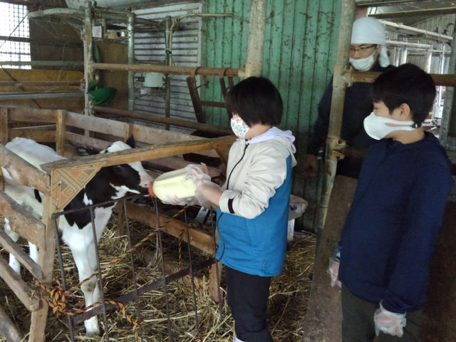 太陽牧場ミルク工房