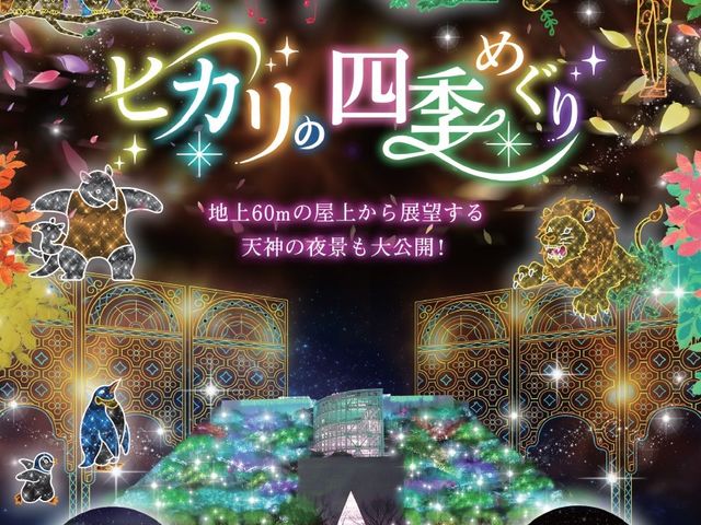 今冬もアクロス福岡イルミネーションを開催します。イベント中のみの限定公開となる夜の屋上より、夜景とイルミネーションの饗宴を楽しむことができます。_アクロス福岡イルミネーション