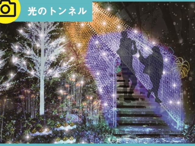 遊歩道すべてがイルミネーションによる光の世界となっています。光のトンネルも楽しめます☆_アクロス福岡イルミネーション