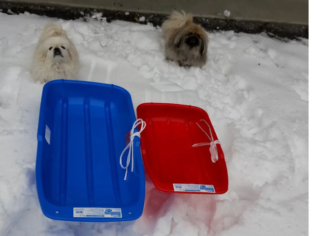 雪遊び_古民家 筧