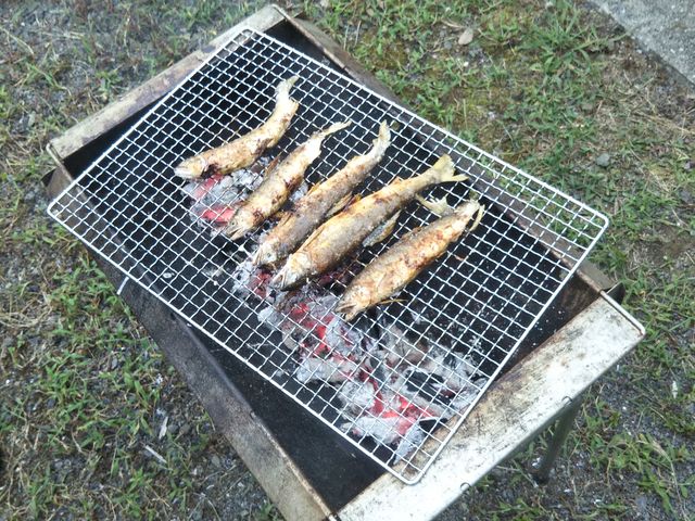 自然農自給自足体験民泊 土と和