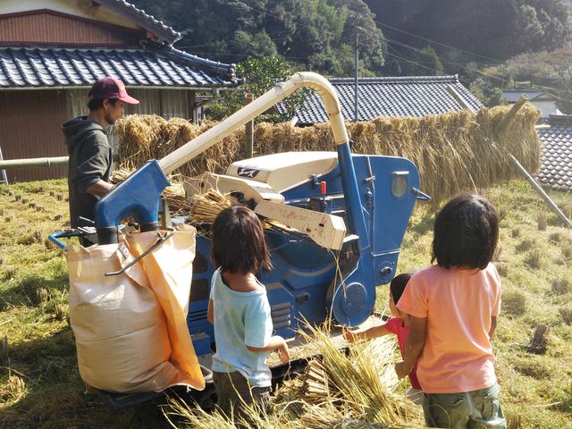 自然農自給自足体験民泊 土と和