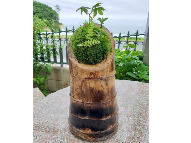 苔のさと