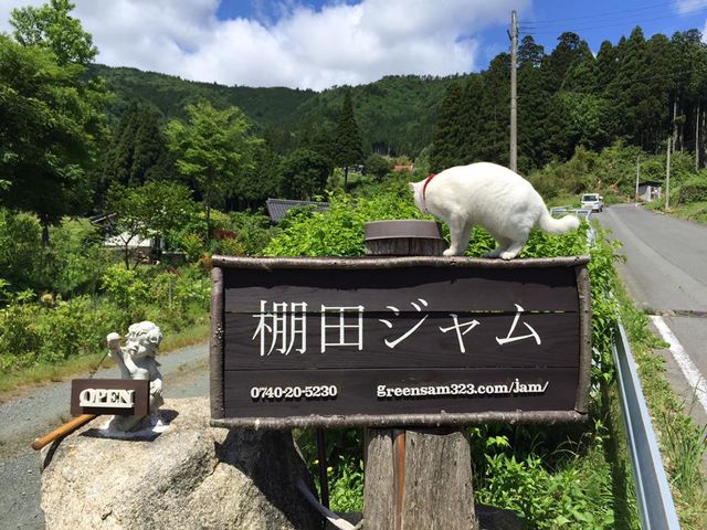 棚田ハウス