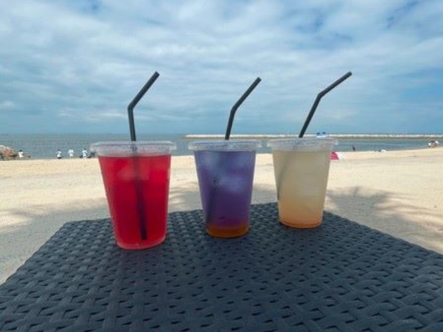 Steamers Beach&Sauna りんくうビーチ常滑