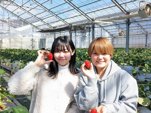 苺園 みのかも
