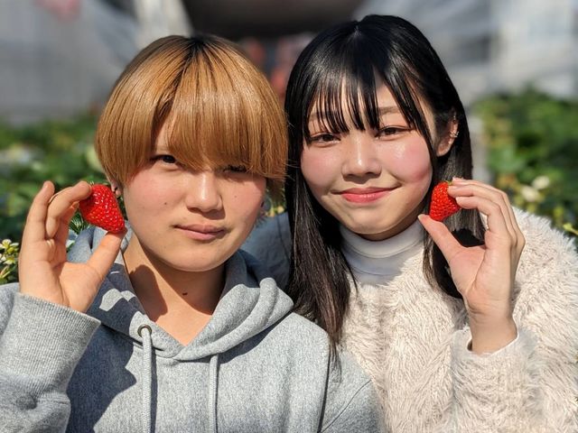苺園 みのかも