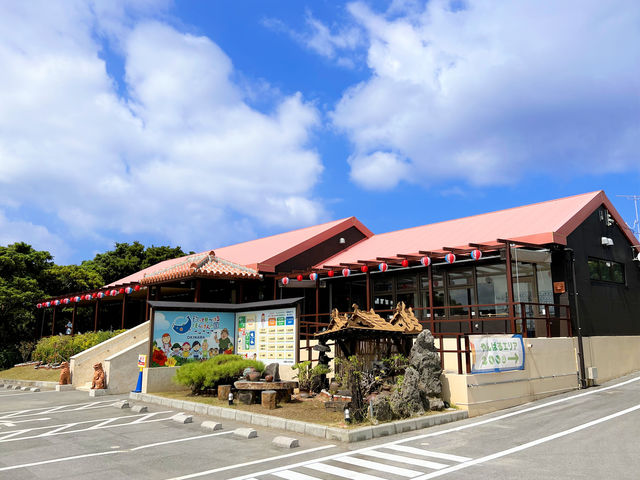 釣って見つけるぼうけんの国 沖縄