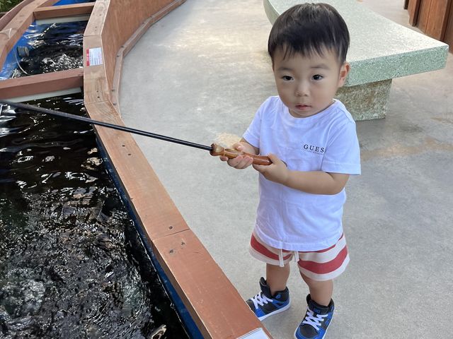 釣って見つけるぼうけんの国 沖縄