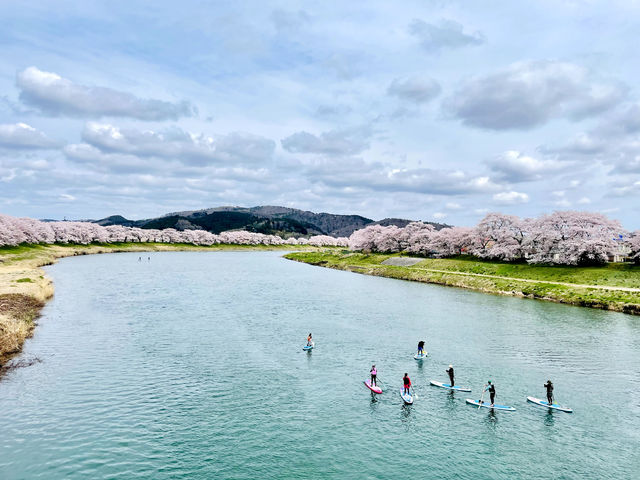 春はお花見SUP_ZAOC